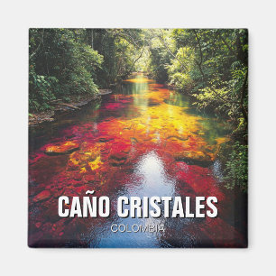 Colombia Cano Cristales Travel Magnet