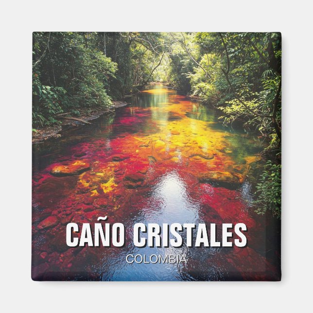 Colombia Cano Cristales Travel Magnet (Front)