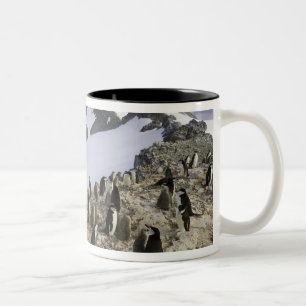 Colony of Chinstrap penguins Two-Tone Coffee Mug