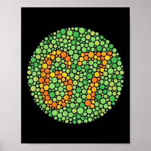 Color Blind Test 67 Six Seven Polka Dot Teacher Nu Poster