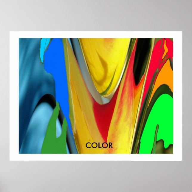 COLOR Poster (Front)