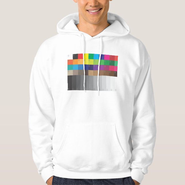 COLOR SWATCH HOODIE (Front)