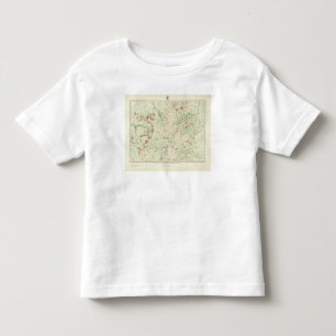 Colorado 6 toddler T-Shirt