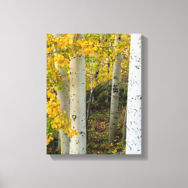 Colorado Aspens Designer Wrapped Canvas (Front)