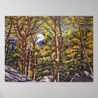 Colorado Aspens in Beautiful Autumn Splendor Poster