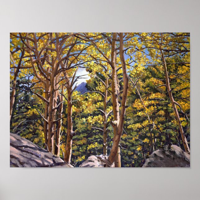 Colorado Aspens in Beautiful Autumn Splendor Poster (Front)