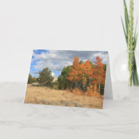 Colorado Autumn Aspen Trees All Occasion