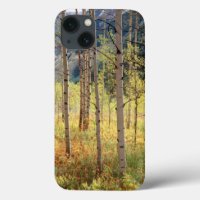 Colorado, Autumn colours of aspen trees