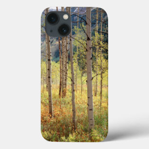 Colorado, Autumn colours of aspen trees iPhone 13 Case