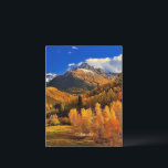 Colorado autumn postcard<br><div class="desc">Colorado autumn,  beautiful fall colours,  landscape photograph.</div>
