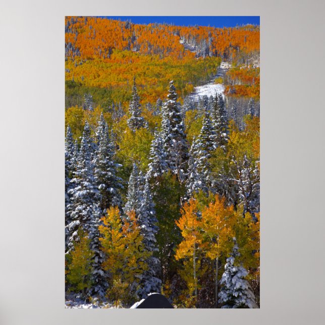 Colorado Autumn Poster (Front)