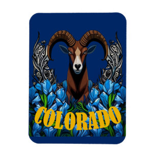 Colorado Bighorn Sheep With Blue Columbine Flowers Magnet