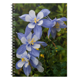 Colorado Blue Columbine near Telluride Colorado Notebook