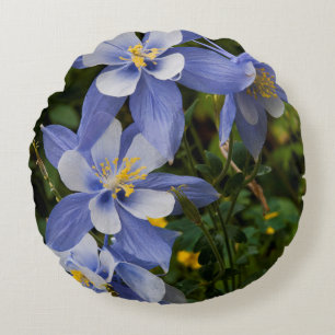 Colorado Blue Columbine near Telluride Colorado Round Cushion