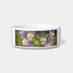 Colorado Blue Columbine Painting - Original Art Bowl