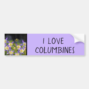 Colorado Blue Columbine Painting - Original Art Bumper Sticker