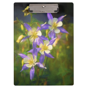 Colorado Blue Columbine Painting - Original Art Clipboard