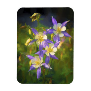 Colorado Blue Columbine Painting - Original Art Magnet