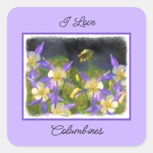 Colorado Blue Columbine Painting - Original Art Square Sticker