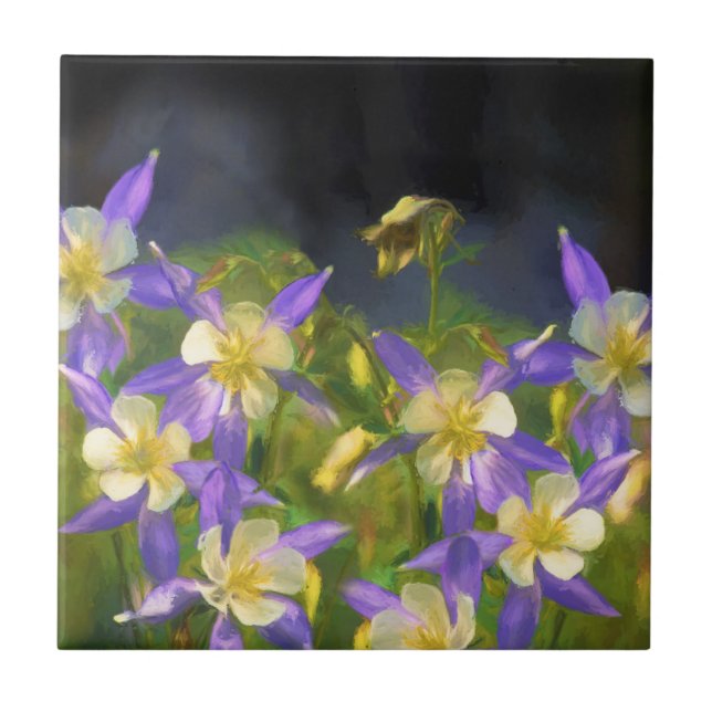 Colorado Blue Columbine Painting - Original Art Tile (Front)