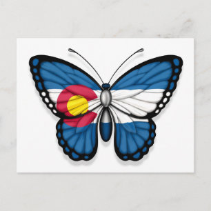 Colorado Butterfly Flag Postcard