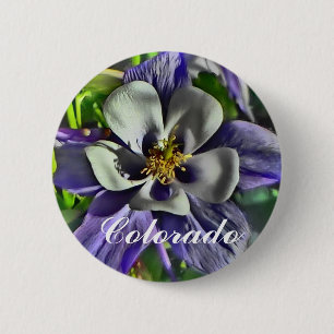 Colorado columbine button