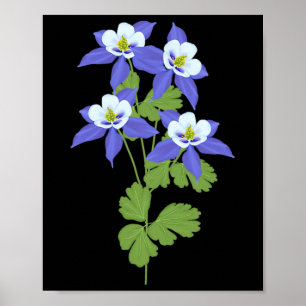 Colorado Columbine Flower Wildflower Nature Hiking Poster
