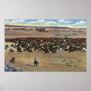 Colorado - Cowboys Rounding Poster