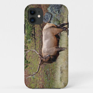 Colorado Elk  iPhone 5 Case-Mate Barely There Case