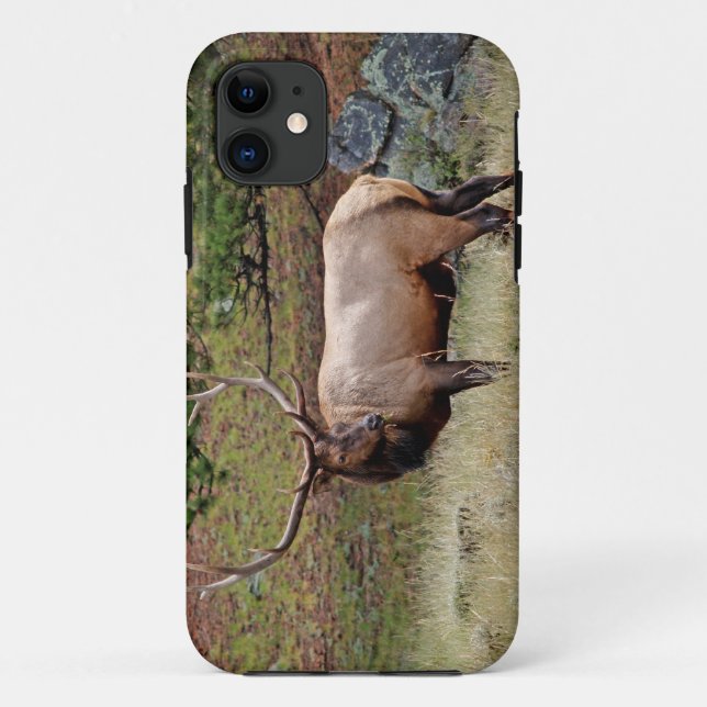 Colorado Elk  iPhone 5 Case-Mate Barely There Case (Back)