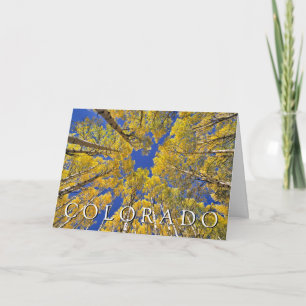Colorado Fall   Aspen Forest   Happy Birthday Card