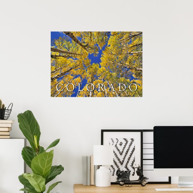 Colorado Fall | Aspen Forest in Autumn Poster (Home Office)