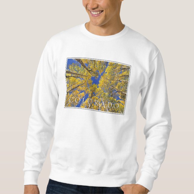 Colorado Fall | Aspen Forest in Autumn Sweatshirt (Front)
