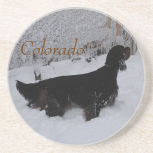 Colorado Gordon Setter in Snowstorm Coaster