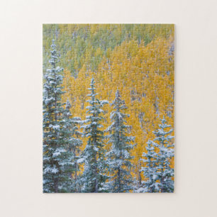 Colorado, Grand Mesa. Early snowfall on forest Jigsaw Puzzle