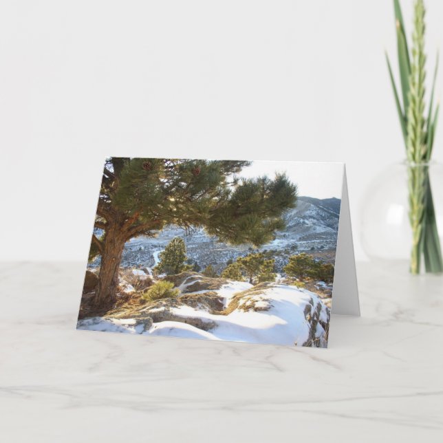 Colorado Greetings Card (Front)