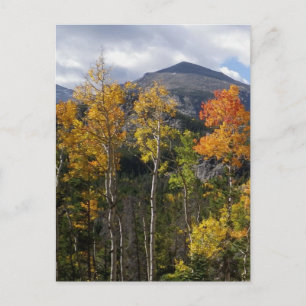 Colorado Inspirational Postcard