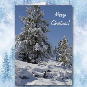 Colorado Mountain Snow Christmas Card
