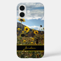 Colorado Mountain Sunflowers Photograph with Name