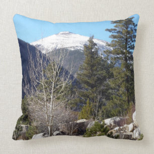 Colorado mountains cushion