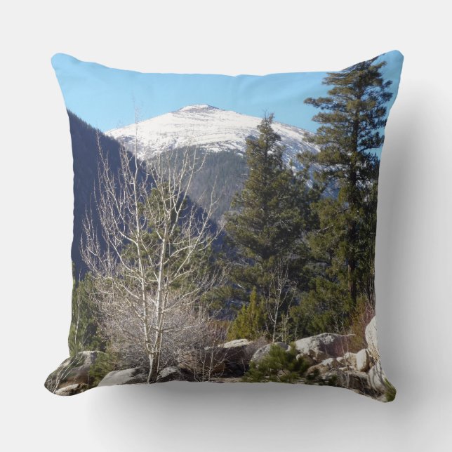 Colorado mountains cushion (Front)