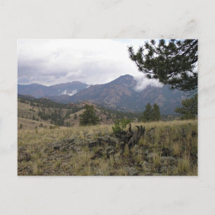 Colorado Mountains Postcard