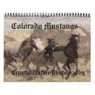 Colorado Mustangs Calendar