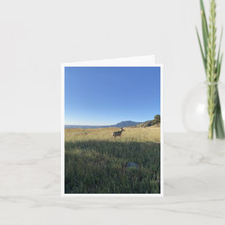 Colorado Postcard 5