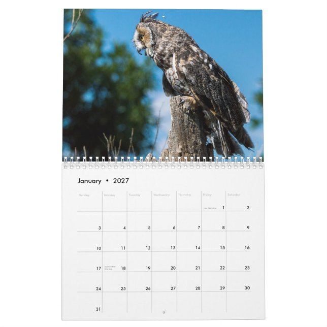 Colorado Raptor Calendar (Jan 2027)