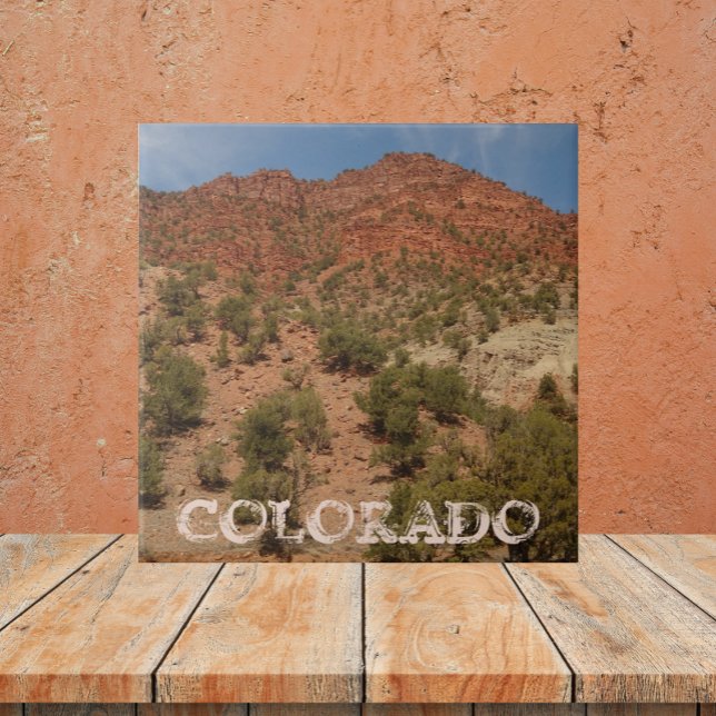 Colorado Red Rocks Landscape Tile (In Situ)
