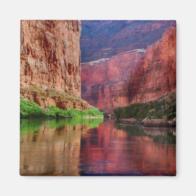 Colorado river in Grand Canyon, AZ Magnet (Front)