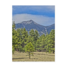 Colorado Rockies