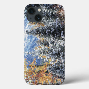 Colorado, San Juan Mountains, First snow iPhone 13 Case