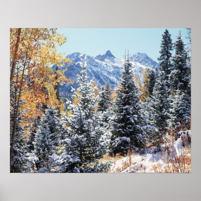 Colorado, San Juan Mountains, First snow Poster (Front)